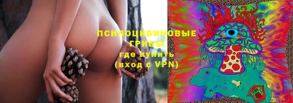 а пвп мука Белокуриха